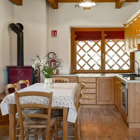 Holiday home Diffuso Ravascletto