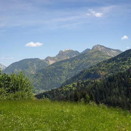 Holiday home Diffuso Ravascletto